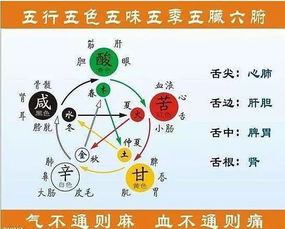 五行：五种元素乱炖