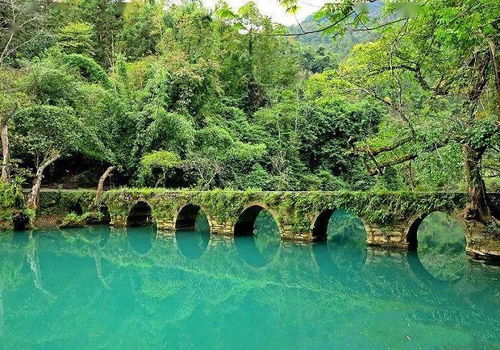 炎炎夏日 深圳出发寻找避暑胜地