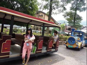 如何到达华侨城：公交地铁全靠你了