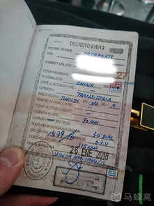 南极15天之旅：预算和签证攻略
