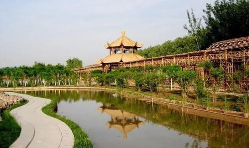 1. 绿化覆盖率与空气质量