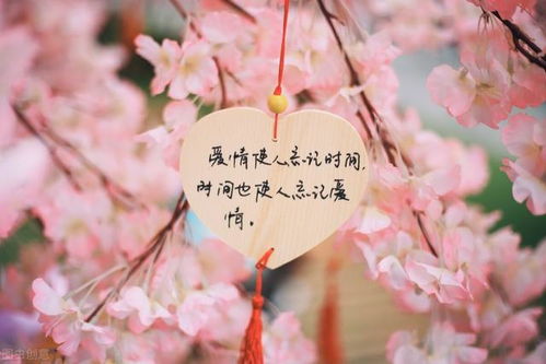 巨蟹座：温暖如春的小太阳
