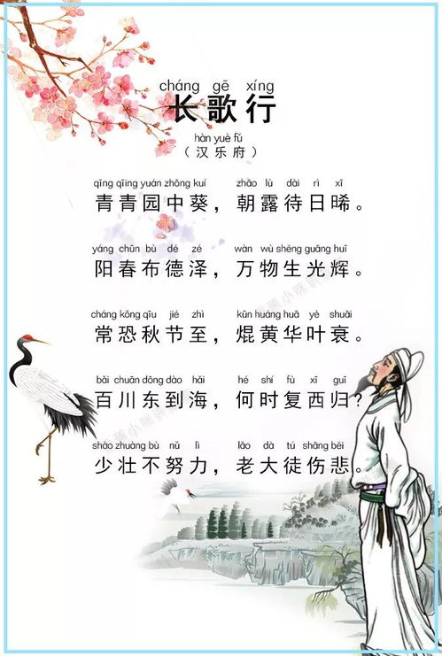 抖音上的虚假繁荣