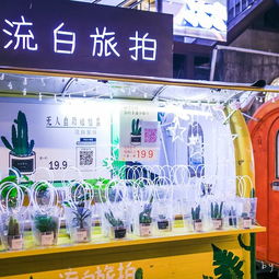 互动：参与其中， 感受文艺的温度