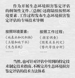 声调组合如行云流水