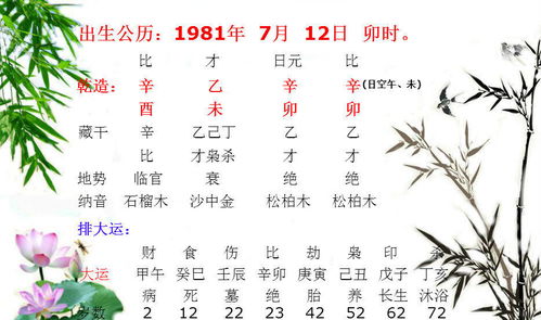 辛卯日穿什么五行色衣服最吉利？有什么喜忌需要注意？