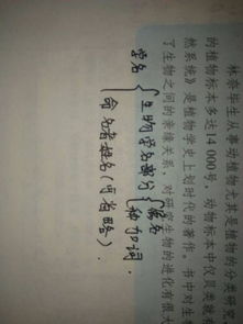 天生对命这个词语具体含义是什么？