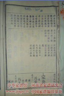 阴县高山瞳崔氏：梦幻般的星空