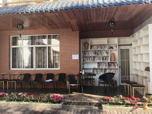 闪图惊魂：那张照片到底藏了什么玄机？