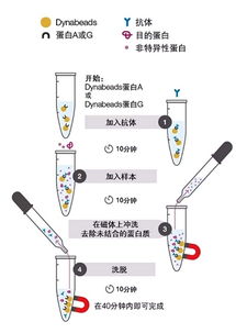 标记了主题，却故意把结构弄得七零八落，让阅读变成一次“找宝藏”的冒险。