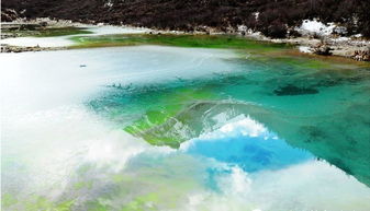 羡慕那对亲子游，下一站他们计划去哪个风景如画的地方呢？