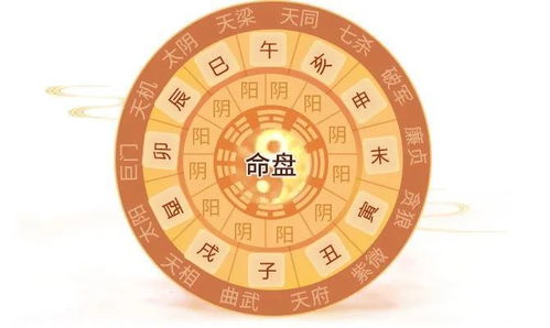 3.1 北京算命较大师蒋振云