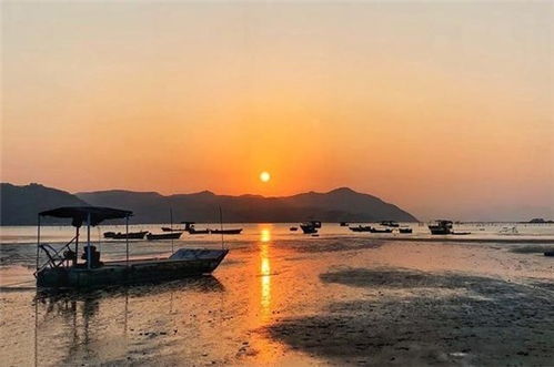 金星湖湿地公园的生态之美
