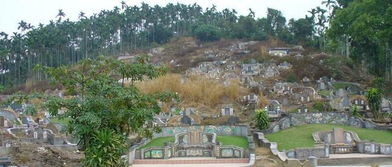 先说说这“门对坟”有多可怕…