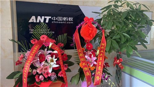 新坟花篮摆放时需要注意哪些风水讲究？