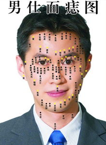 一、 眉毛痣相的基本概念（随手写的）