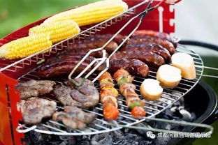 夏日露营：逃离都市的疯狂计划