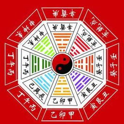 八字四柱中龙命如何调整布局以改善运势？