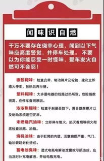 第一招：学会像变色龙一样变通