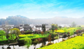 吃饭别去游客区！跟着当地阿婆吃“糊豆腐”，她家开了30年