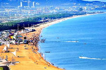 第一天：跟人挤人say goodbye！2026年最新野路子