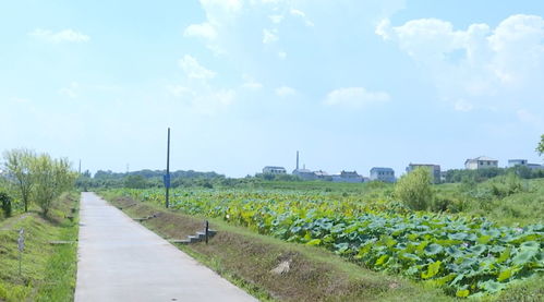 岱山旅游业：从