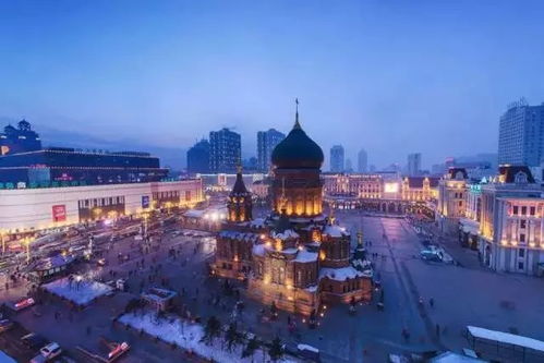 当哈尔滨的“冰雪童话”崩塌：南岗与夏园，那些被滤镜吃掉的人间真相