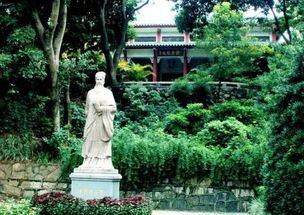 历史持续发展与文化底蕴的融合