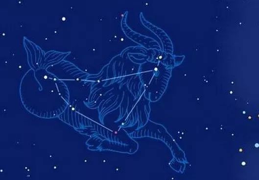 爱情篇：单身狗or虐狗狂魔？