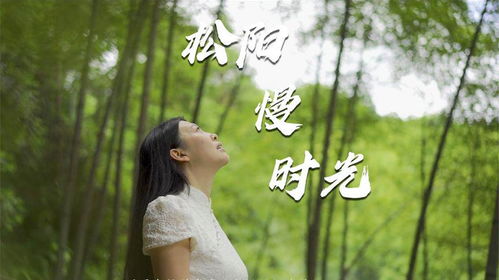 1. 从诗词中汲取灵感