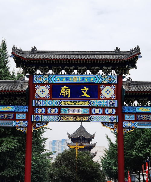 温馨提示：