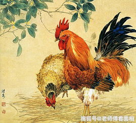 属鸡的人适合养什么花或种什么植物能旺运？