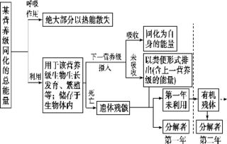三、 水往哪流关我屁事？老子就要逆天改命！