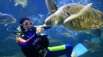 海洋世界坑爹记：钱包哭泣的一天