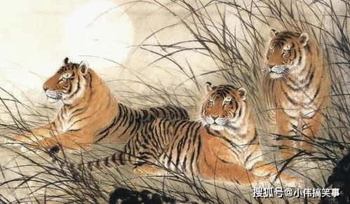 生肖虎女性8月出生的性格和脾气特点是什么？
