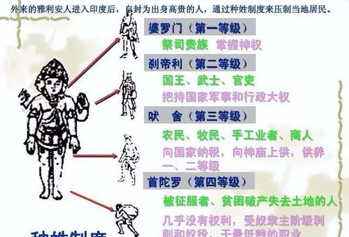 铁丝网：像坐牢一样