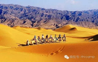 露营遇到狐狸精？2025年我的离奇经历