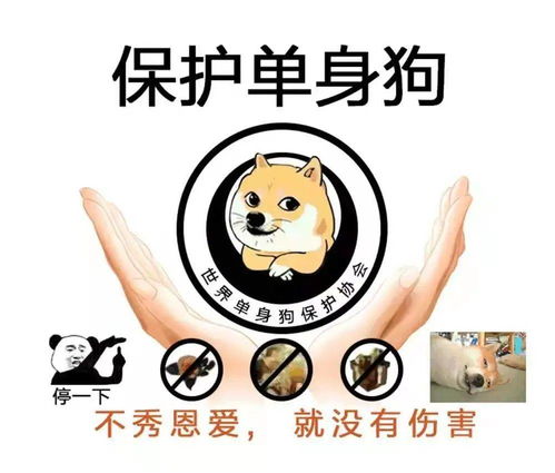 单身狗自救指南