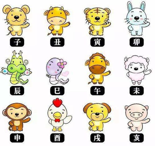 属相和东西户的关系,属相和东西户的关系