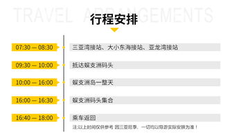 选择靠谱导游与理财平台的重要性