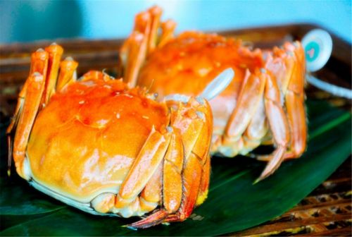 市中心——传统方式与创崭新并行