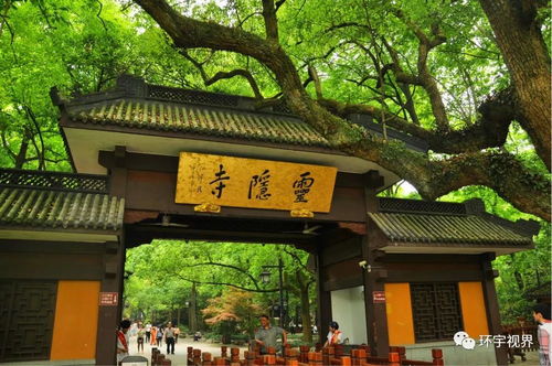 “咳咳”，这里再一次提醒一下吧 —— 我们真实的需要规划良好行程才能保证体验吗？还是说把计划搞砸也挺良好玩？毕竟生活就是一种测试呀！让我们把思维定势抛掉，用一种更随性的方式来探索这座城区吧！让我们把计划变成一种游戏，让我们把旅行变成一种冒险吧！哈哈哈~