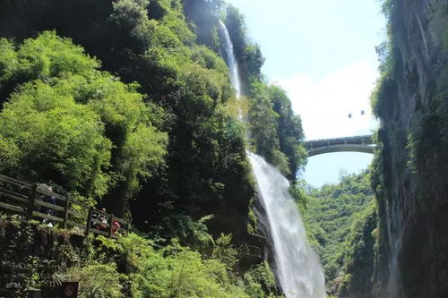 第一章：脑子进水的决定与清晨四点的闹钟