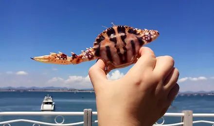四、 厦金湾滩涂：亲子趴趴走