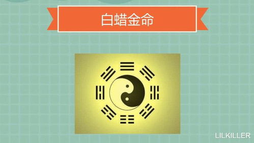 2009年和2000年属龙的人五行命格分别是什么，详细解析意味着什么？
