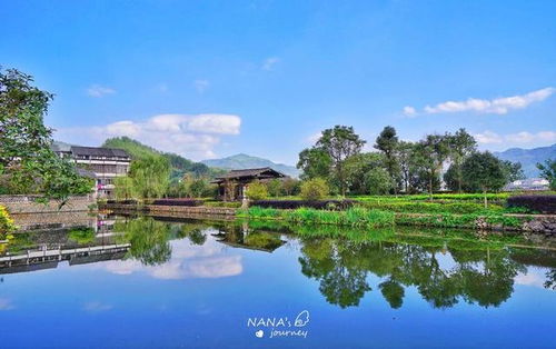 二、体验农家崭新年宴——吃饱喝足后还能干活