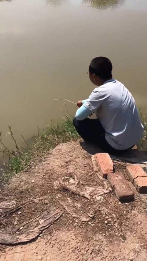 沙滩捉鱼,沙滩钓什么鱼