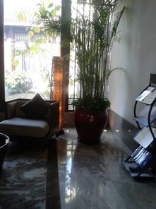 宾馆大厅放什么花,宾馆大厅摆放花瓶风水