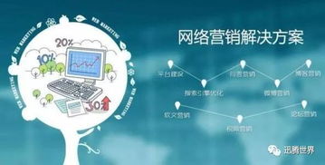3）内容丰富多彩