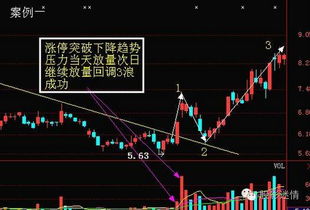 微度虚假：城区较短暂停留的“逃离”